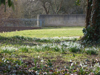 2016-02-27 Uebigau 6.jpg
