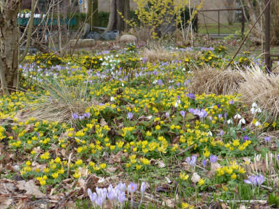 2016-02-27 Uebigau 20.jpg