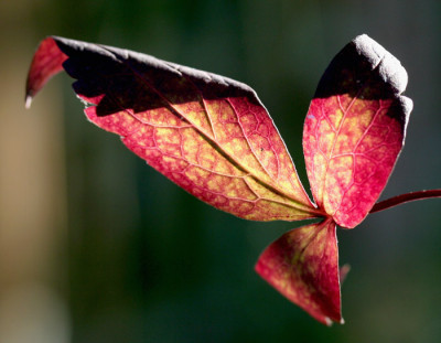 Herbst-Hommage-9.jpg