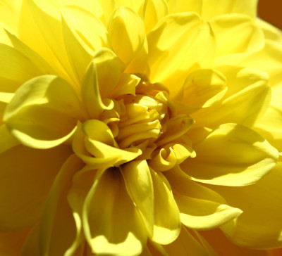 Herbst-Hommage-1.jpg