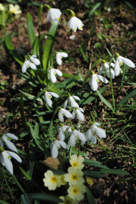 märz 061.jpg