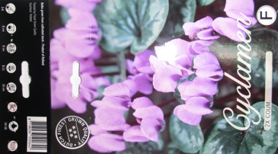 Cyclamen-coum_Packung.jpg