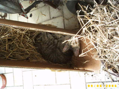 2006_0906Bild0010.JPG