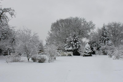 tg_160301_12.jpg