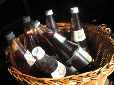 birne_holunder_saft_7.9.2006.jpg