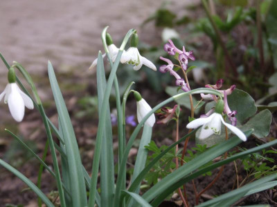 DSCF2783.JPG
