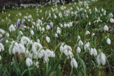 feb 012.jpg