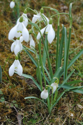 feb 011.jpg