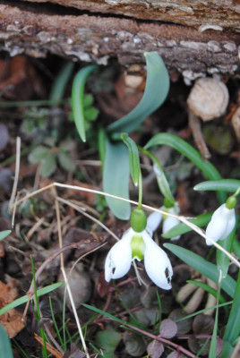 feb 018.jpg
