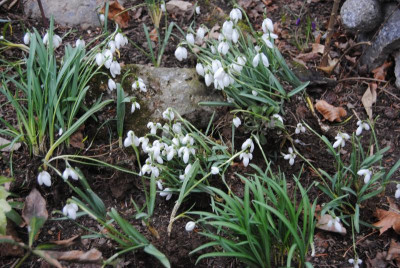 feb 025.jpg
