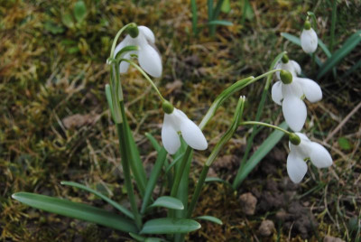 feb 010.jpg
