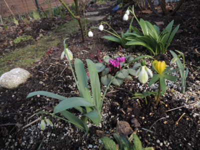 Garten4.JPG