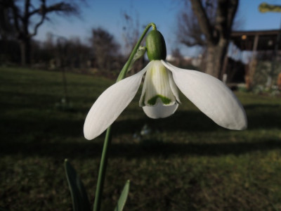 DSCN9423_1238.JPG
