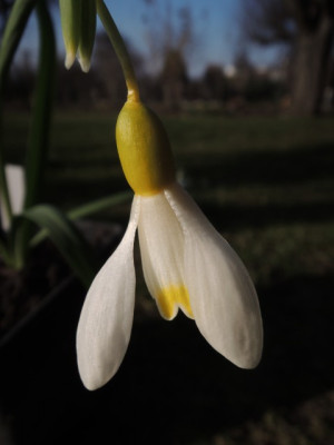 DSCN9424_1239.JPG