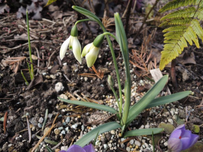 DSCN9409_1237.JPG