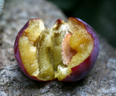 Herbst-Hommage-13.jpg