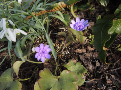 DSCN9379_1240.JPG