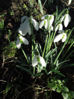DSCN3543.JPG