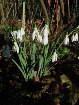 DSCN3549.JPG