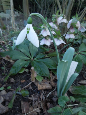 DSCN3562.JPG