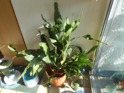 DSCN0892.JPG