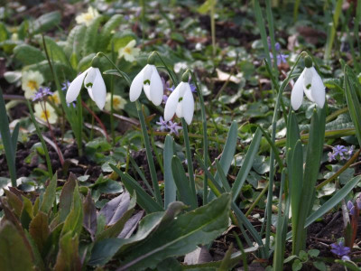 DSCF2796.JPG