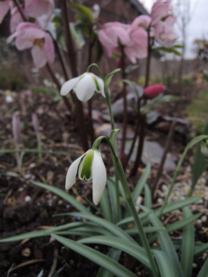 DSCN9457_1242.JPG