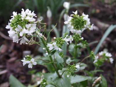 DSCF2800.JPG