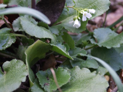 DSCF2802.JPG