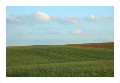 Feldansichten_4_04-09-2006.jpg