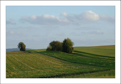 Feldansichten_5_04-09-2006.jpg