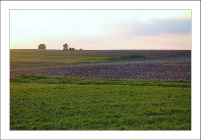 Feldansichten_1_04-09-2006.jpg