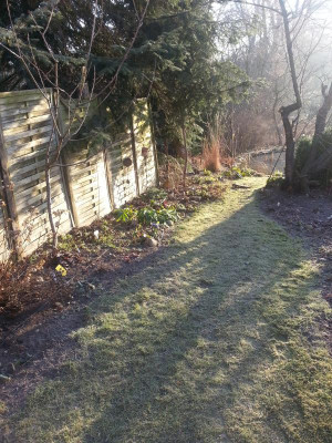20160304_080226.jpg