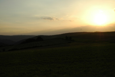 Feldansichten_7_04-09-2006.jpg