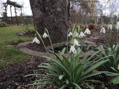 DSCN9444_1248.JPG