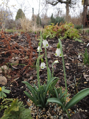 DSCN9331_1249.JPG