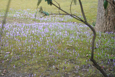 feb 030.jpg