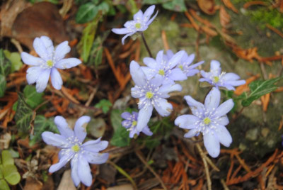feb 011.jpg