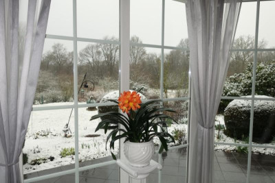 Klivie - 7.3.2016.jpg