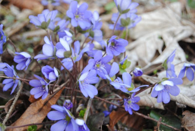 april 059.jpg