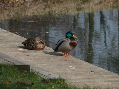 b0503651_800.jpg