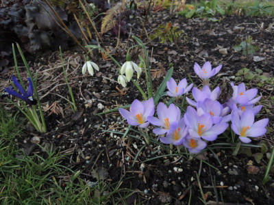 DSCN9494_1254.JPG