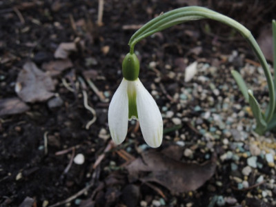 DSCN9497_1255.JPG