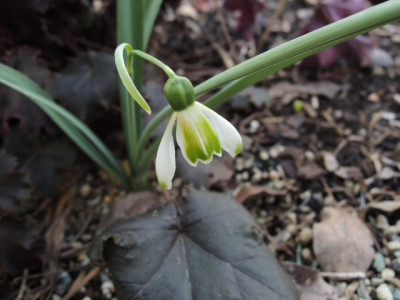 DSCN9500_1258.JPG