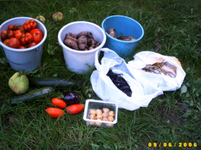 2006_0906Bild0003.JPG