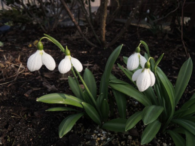 DSCN9541_1263.JPG