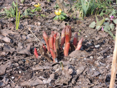DSCN9530_1265.JPG