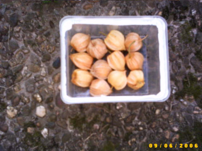 2006_0906Bild0001.JPG