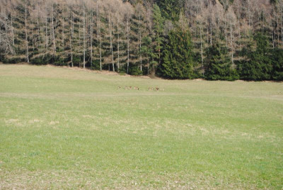 märz 027.jpg