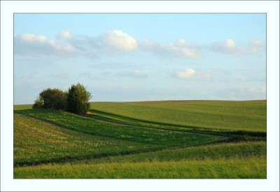 Feldansichten_9_04-09-2006.jpg
